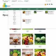 Pvgroup.Food - Интернет магазин органических продуктов. Начиная со Старта с конструктором - №60153 Фото 5