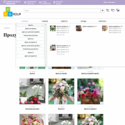 Pvgroup.Flower - Интернет магазин цветов, комнатных растений Начиная со Старта с конструктором 60152 Фото 5